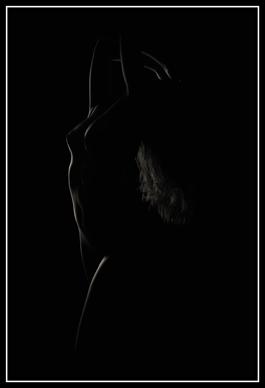 Lt   01   440web